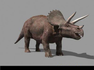 my special dinosaur pack 3D Model