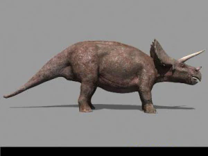my special dinosaur pack 3D Model