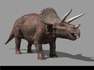 my special dinosaur pack 3D Model