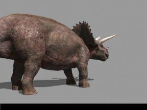 my special dinosaur pack 3D Model