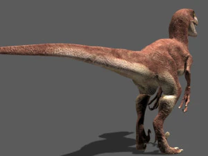 my special dinosaur pack 3D Model