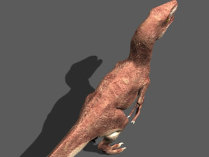 my special dinosaur pack 3D मॉडल
