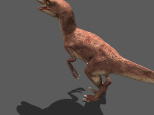 my special dinosaur pack 3D मॉडल