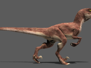 my special dinosaur pack 3D मॉडल
