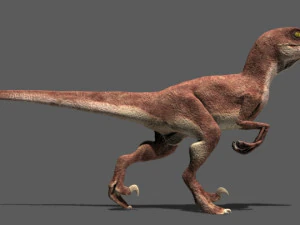 my special dinosaur pack 3D Model