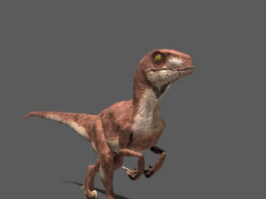 my special dinosaur pack 3D Model
