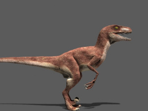 my special dinosaur pack 3D मॉडल