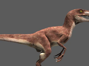 my special dinosaur pack 3D Model
