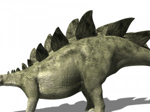 my special dinosaur pack 3D मॉडल
