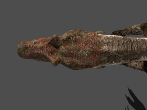 my special dinosaur pack 3D Model