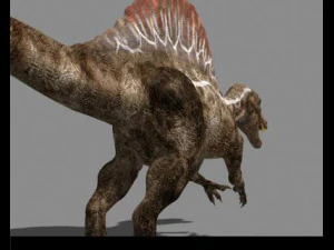 my special dinosaur pack 3D Model