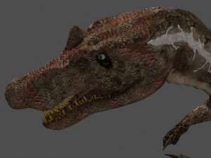 my special dinosaur pack 3D मॉडल