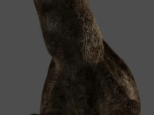 my special dinosaur pack 3D Model