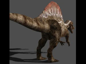 my special dinosaur pack 3D Model