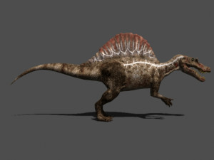 my special dinosaur pack 3D मॉडल