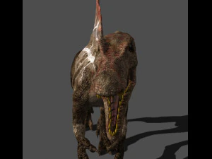 my special dinosaur pack 3D Model