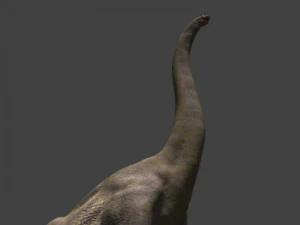 my special dinosaur pack 3D Model