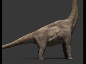 my special dinosaur pack 3D मॉडल