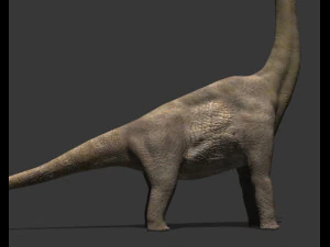 my special dinosaur pack 3D Model