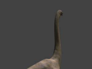 my special dinosaur pack 3D मॉडल