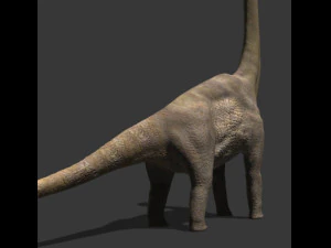 my special dinosaur pack 3D Model