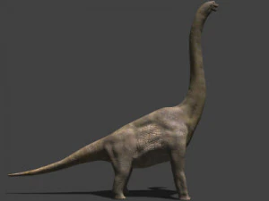 my special dinosaur pack 3D Model