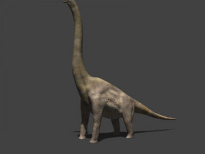 my special dinosaur pack 3D मॉडल