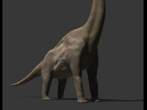 my special dinosaur pack 3D Model