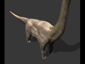 my special dinosaur pack 3D Model