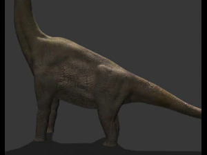 my special dinosaur pack 3D Model