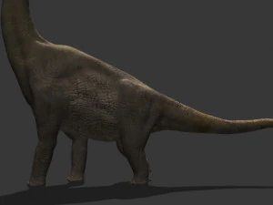 my special dinosaur pack 3D Model
