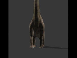 my special dinosaur pack 3D मॉडल