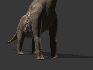 my special dinosaur pack 3D मॉडल