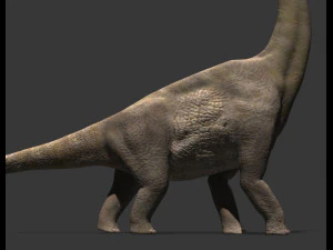 my special dinosaur pack 3D Model