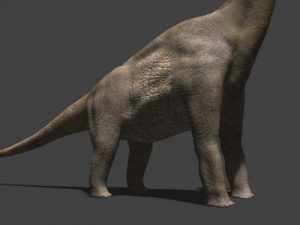 my special dinosaur pack 3D मॉडल