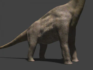 my special dinosaur pack 3D Model