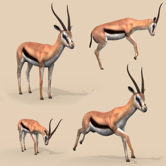 pro gazelle 3D Model .c4d .max .obj .3ds .fbx .stl .blend 