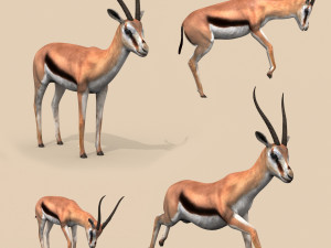 pro gazelle 3D Model