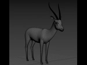 profesjonalna gazela Model 3D
