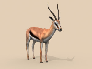 pro gazelle 3D Model