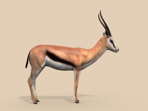 pro gazelle 3D Model