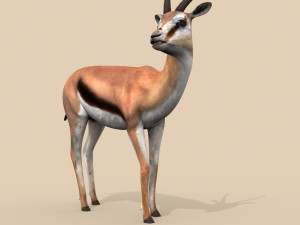 pro gazelle 3D Model