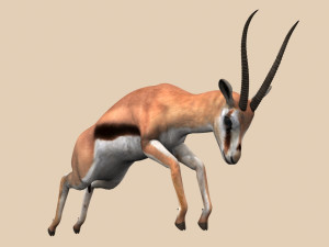 pro gazelle 3D Model