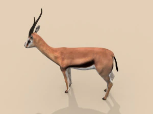 profesjonalna gazela Model 3D