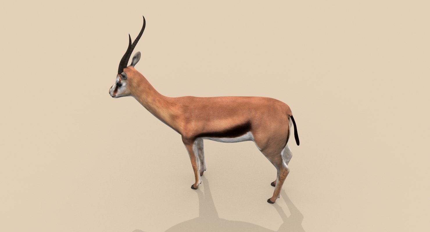 Газель 3д модель. 3d Gazelle.