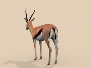 pro gazelle 3D Model