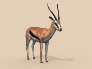 pro gazelle 3D Model