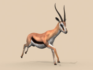 pro gazelle 3D Model