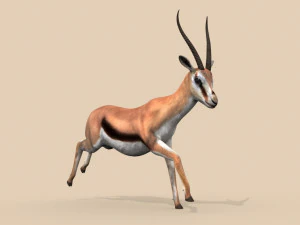 profesjonalna gazela Model 3D