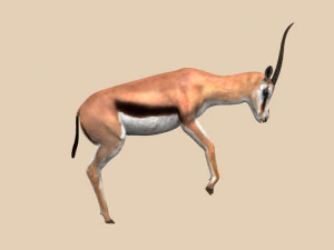 profesjonalna gazela Model 3D